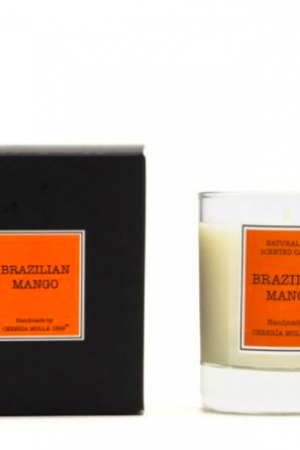 VELA BRAZILIAN MANGO