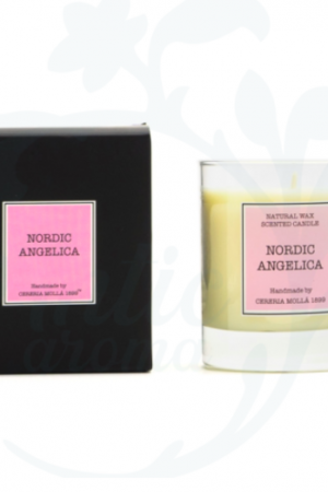 VELA NORDIC ANGELICA