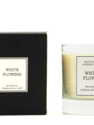 VELA WHITE FLOWERS